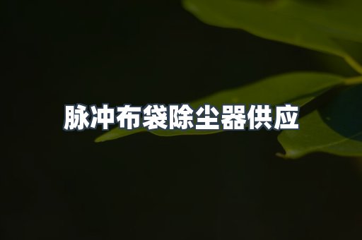 脉冲布袋除尘器